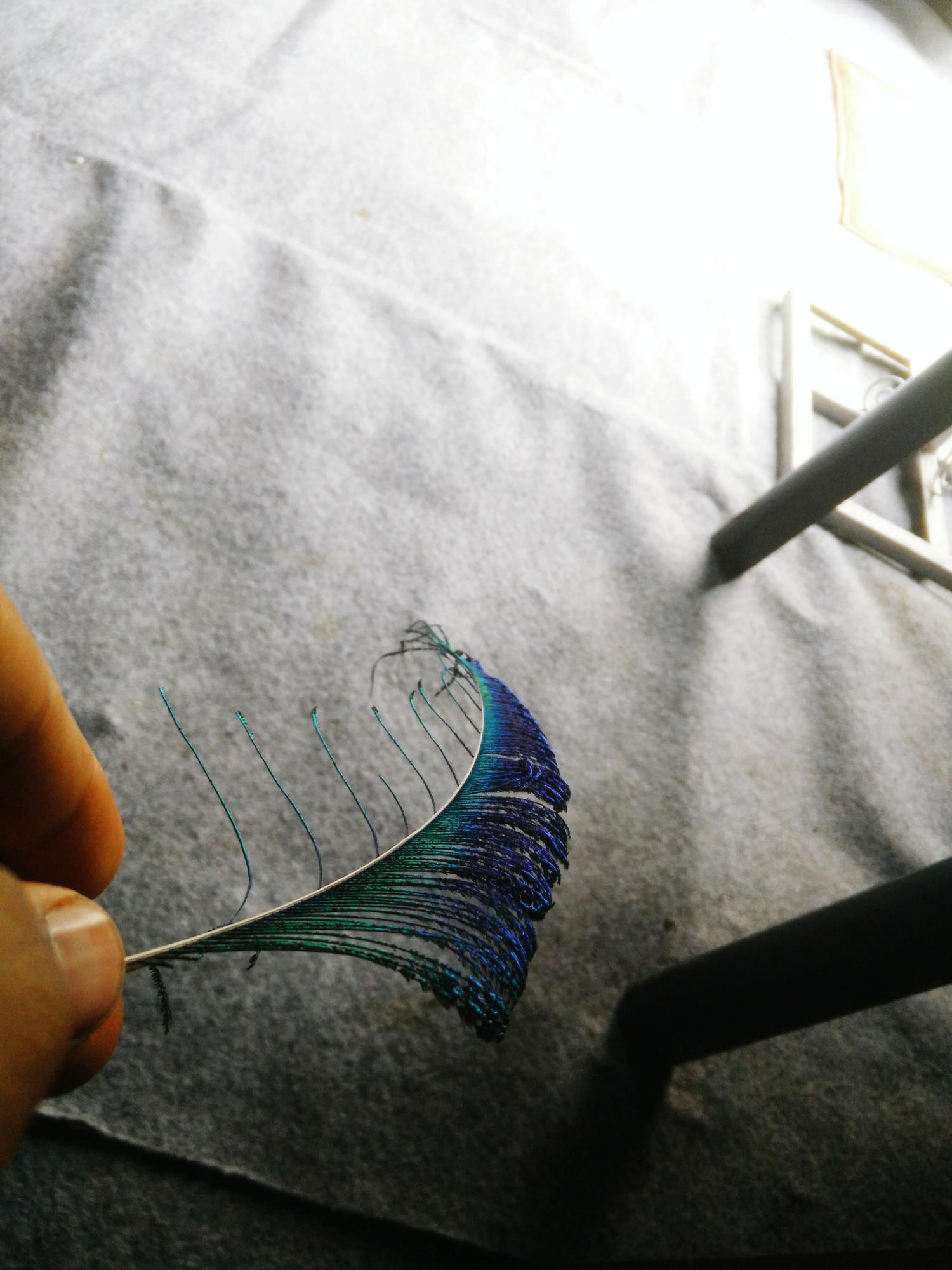 Tessuto grezzo con bozza di disegno